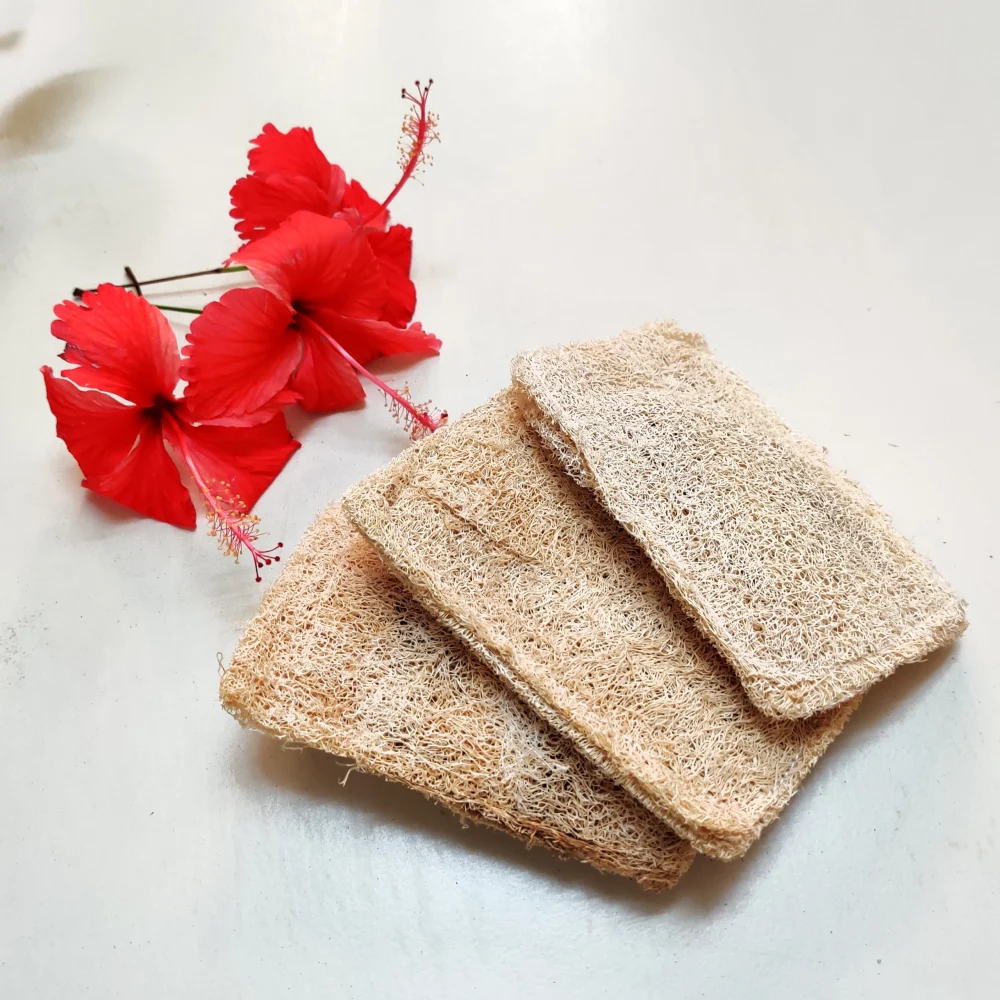 Natural Loofah Dish scrub pads 2